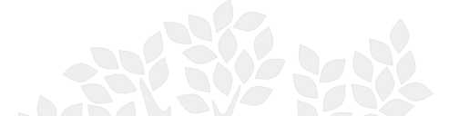 tree branches