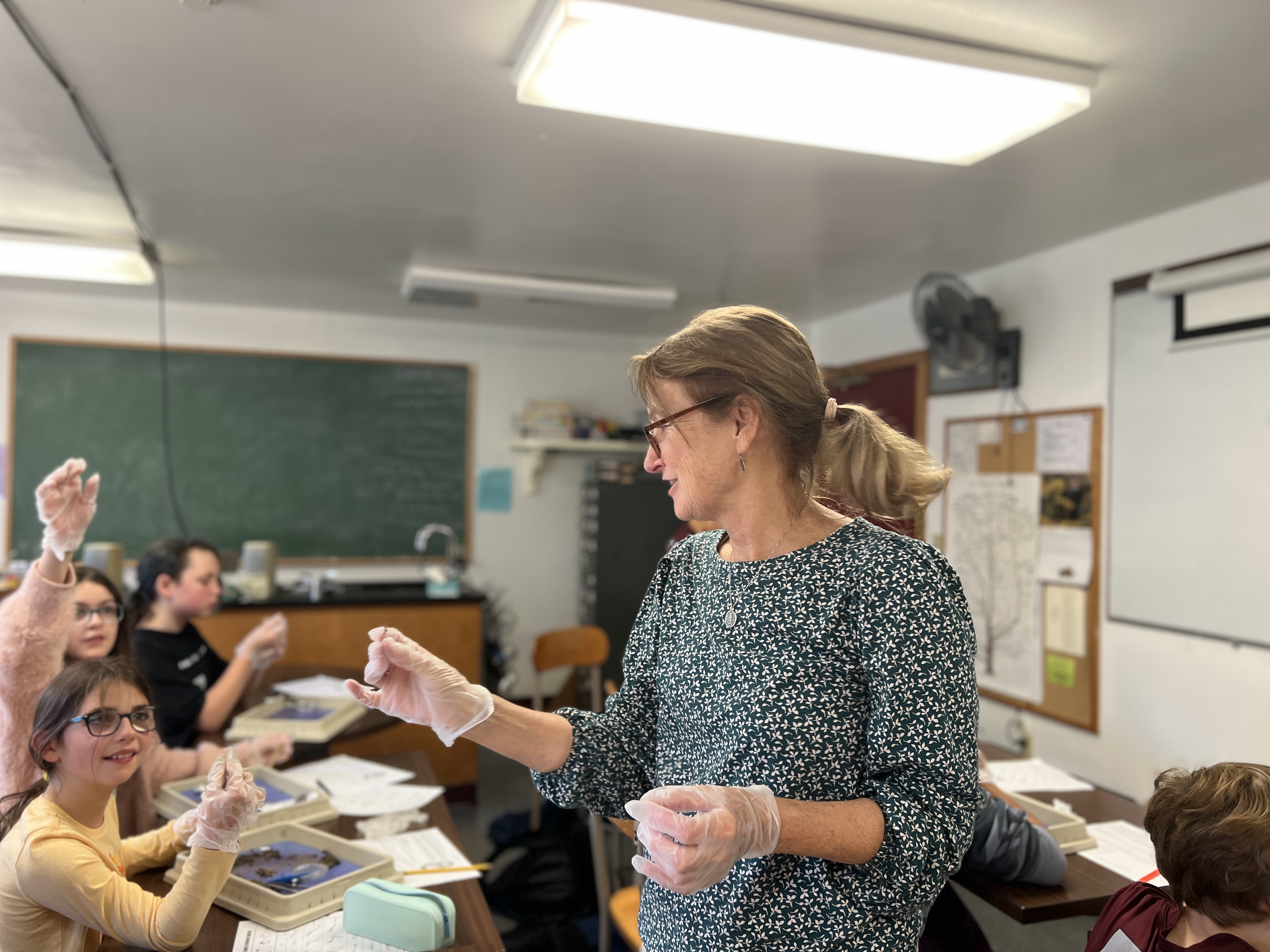 世界十大博彩app下载