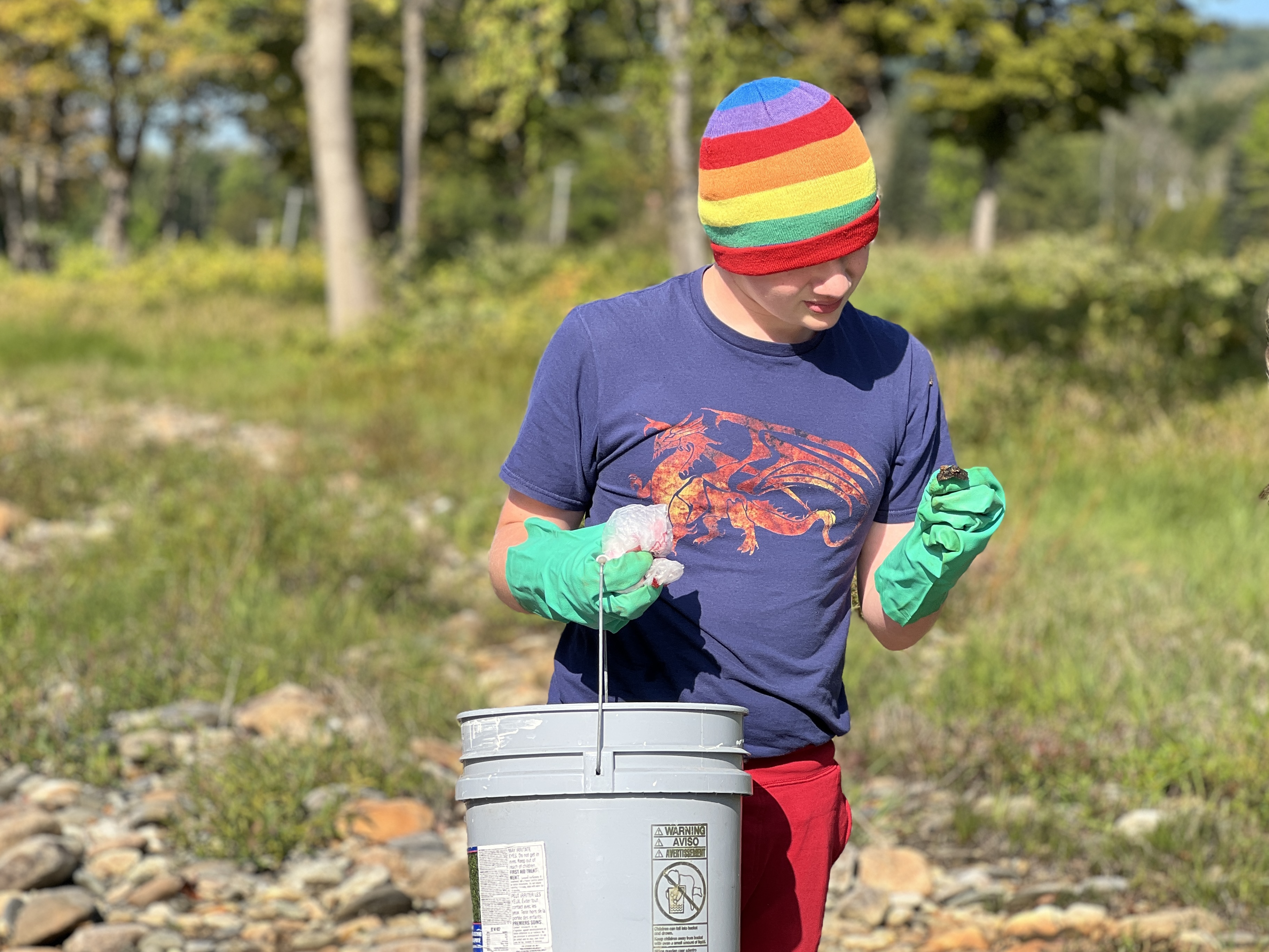 网络十大博彩app下载