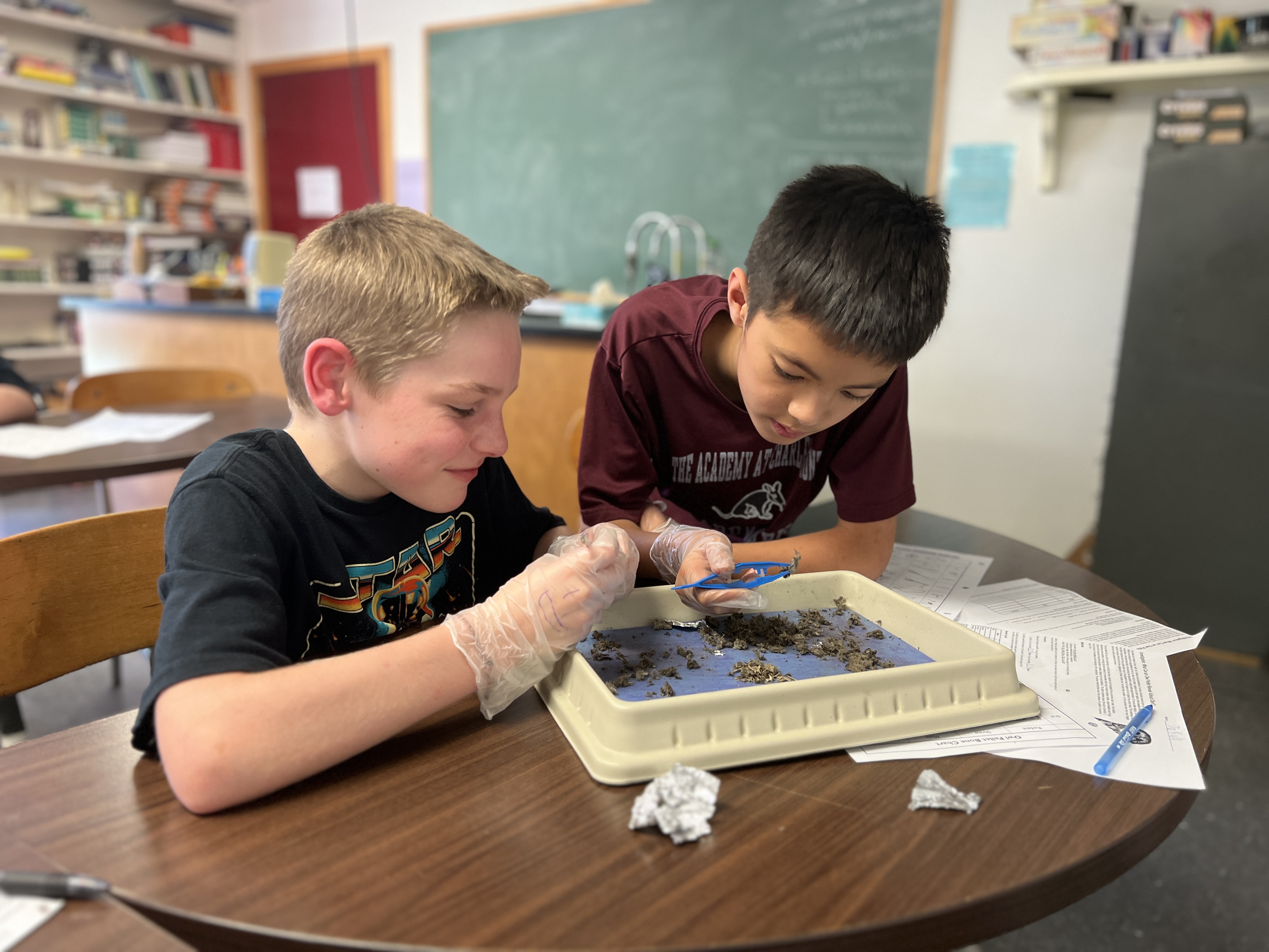 世界十大博彩app下载