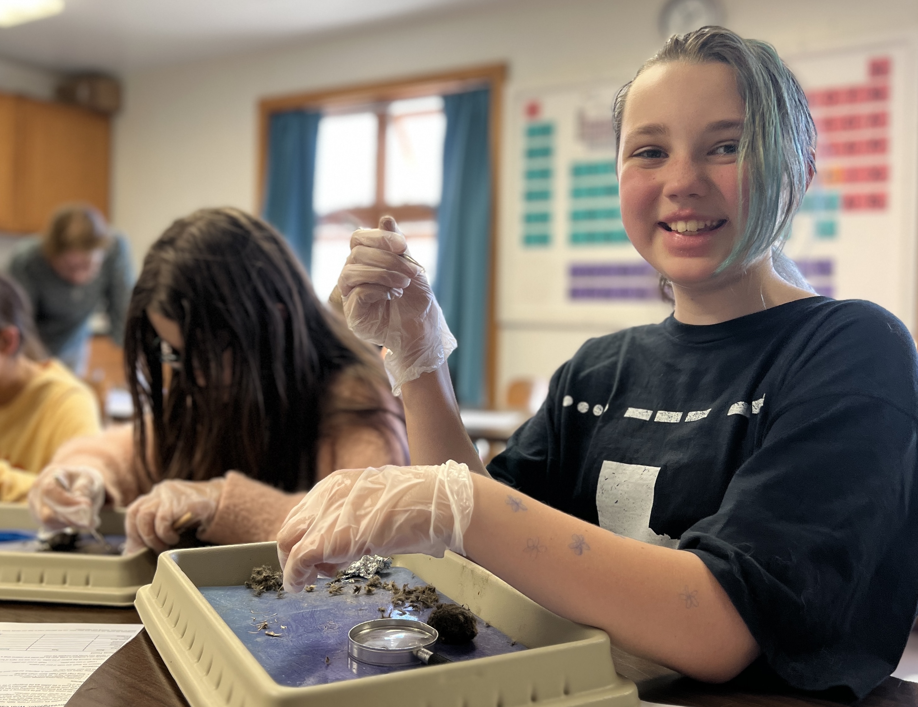 研究顺序 研究顺序