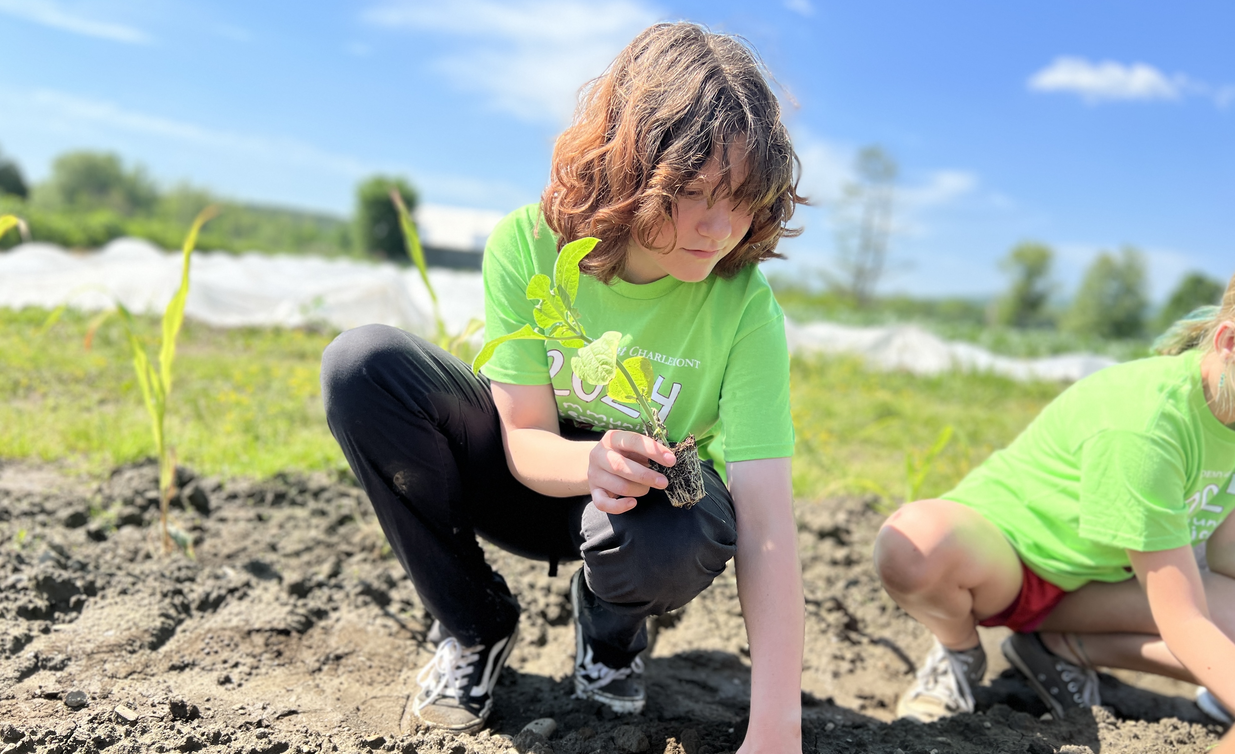 年度传统和特别活动 年度传统和特别活动