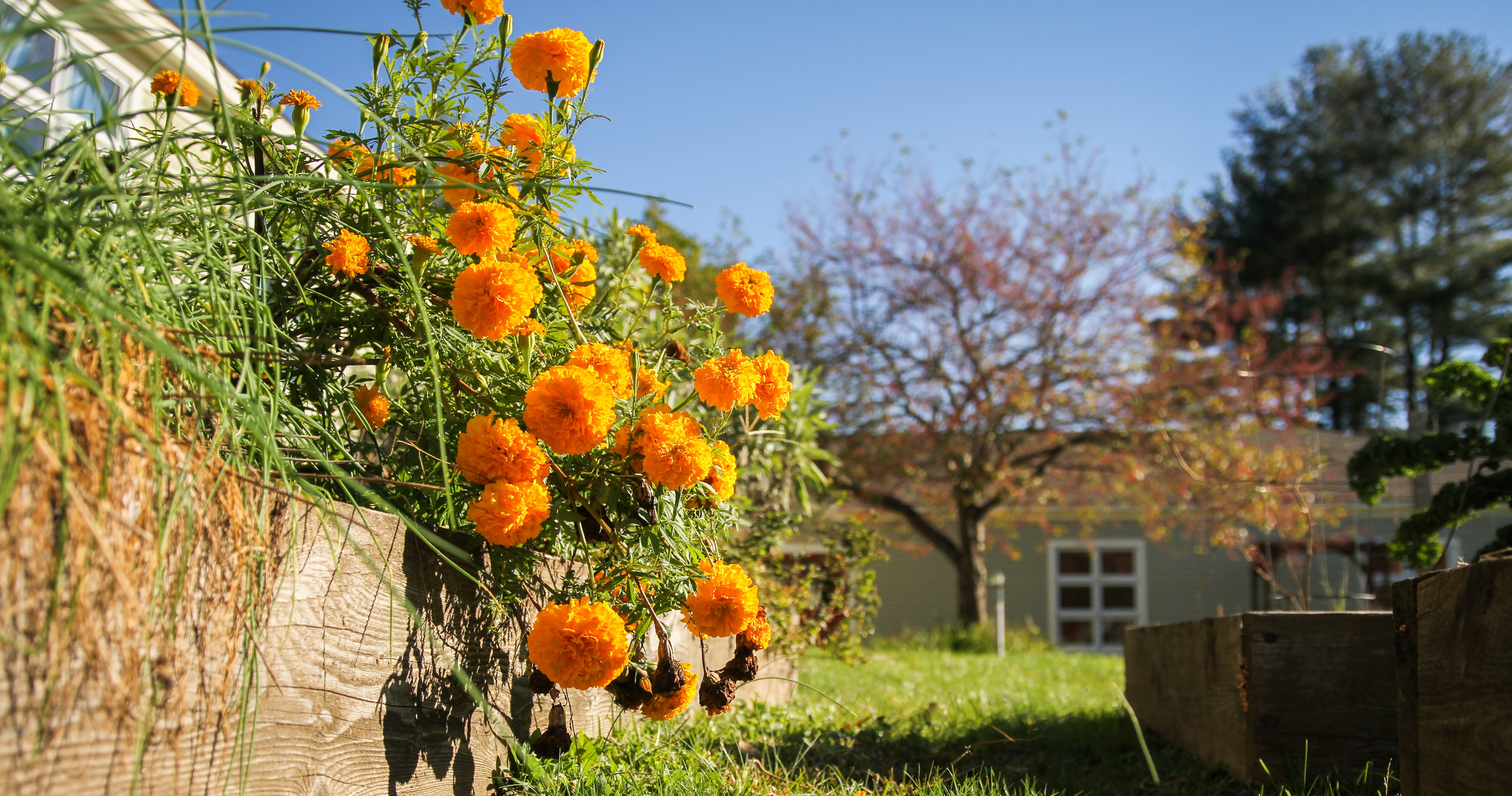 支付学院费用 支付学院费用